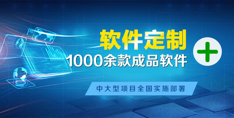 岱山软件开发